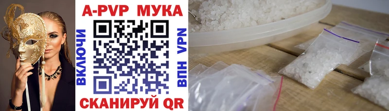 Альфа ПВП СК КРИС  Высоцк 