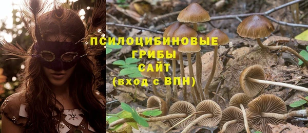 ALPHA PVP Беломорск