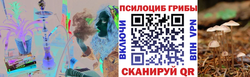darknet состав  Высоцк  Галлюциногенные грибы мухоморы  где найти  